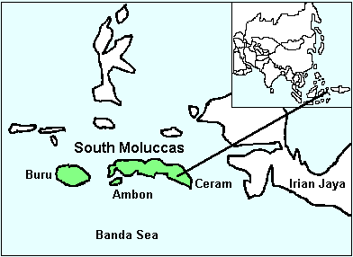 Republik Maluku Selatan Rms